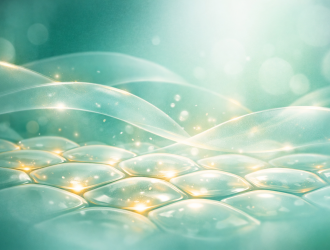 Retinyl Palmitate | Gentle Vitamin A Support for Skin & Longevity