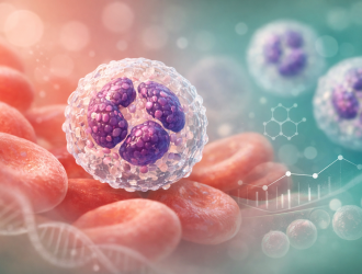 Absolute Neutrophil Count – definition, functioning, and applications