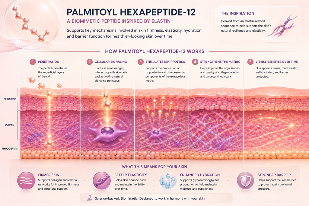 Palmitoyl Hexapeptide-12 | Anti-Aging Peptide for Firm, Elastic Skin